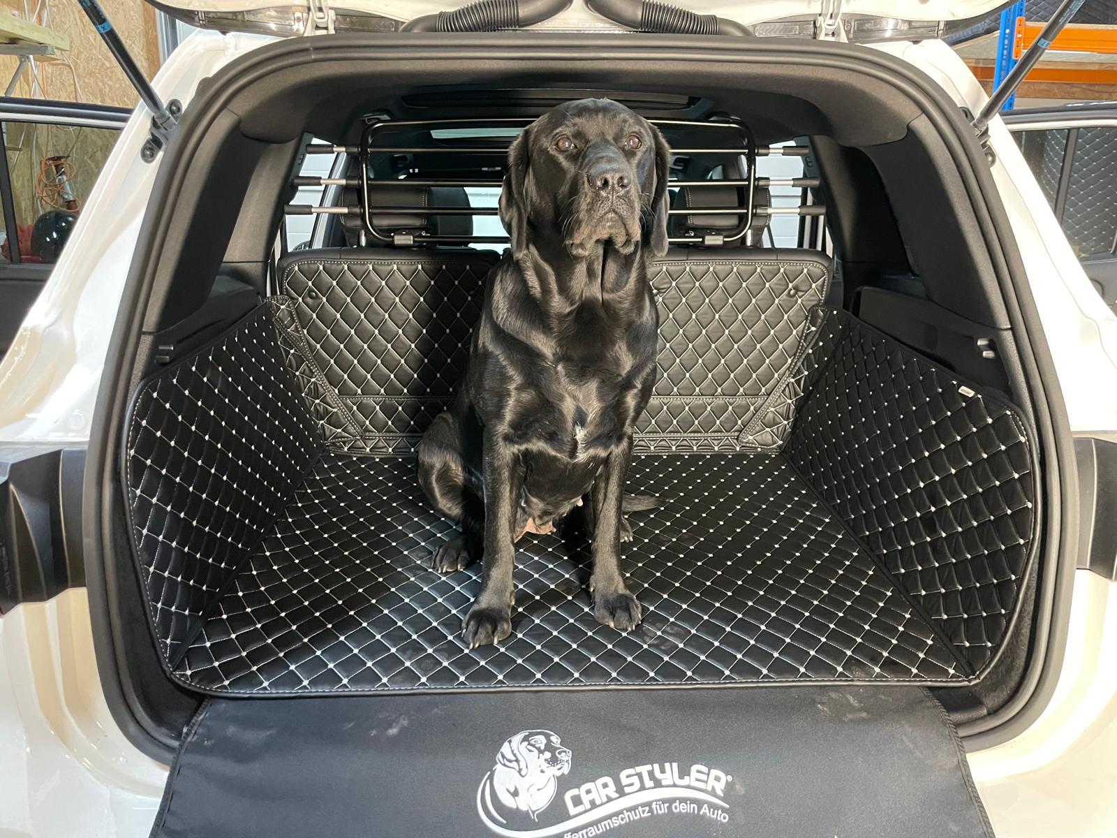 CARSTYLER® Kofferraummatte Kofferraumschutz Hund Für MG MG5, 1 Generation